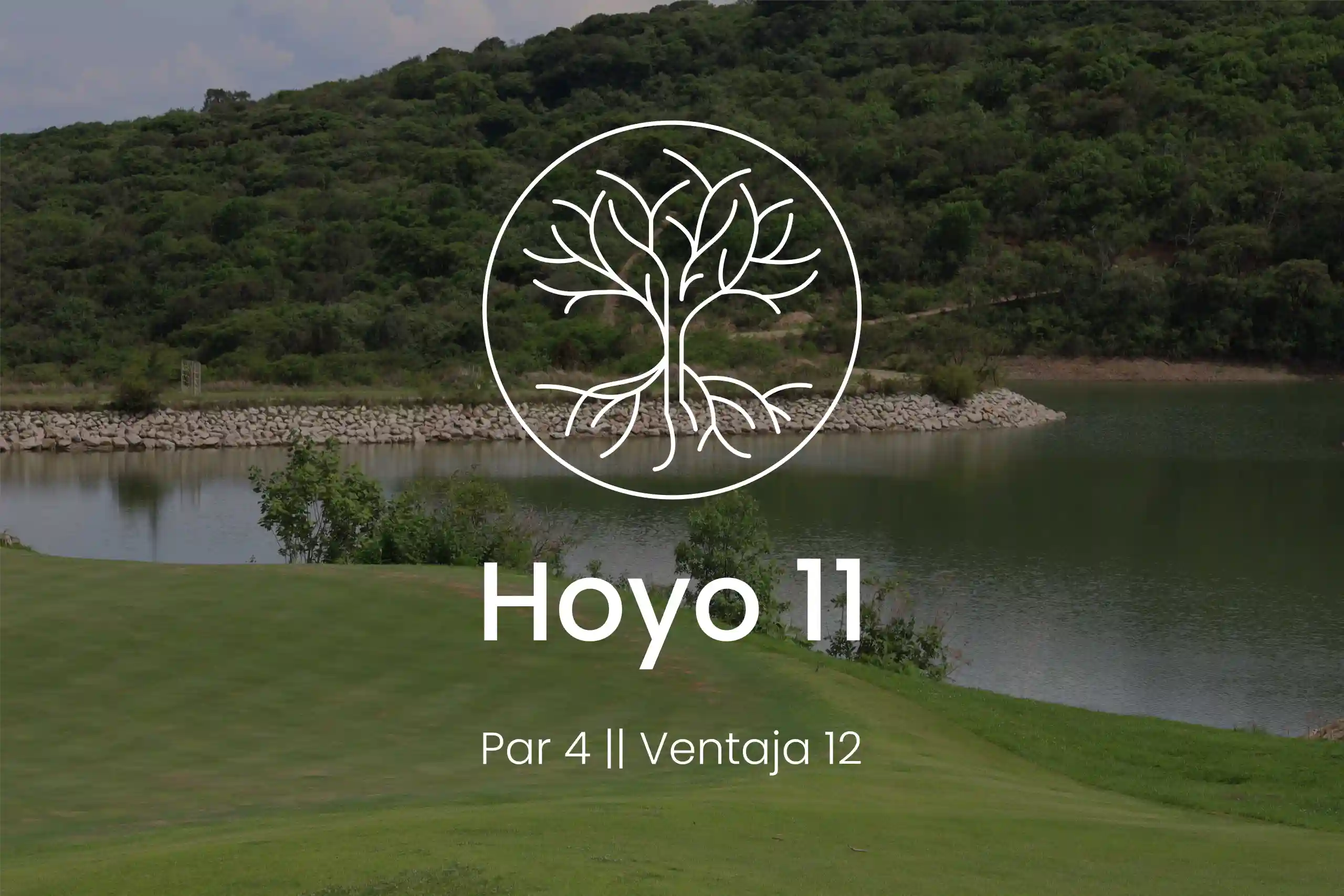 Hoyo 11