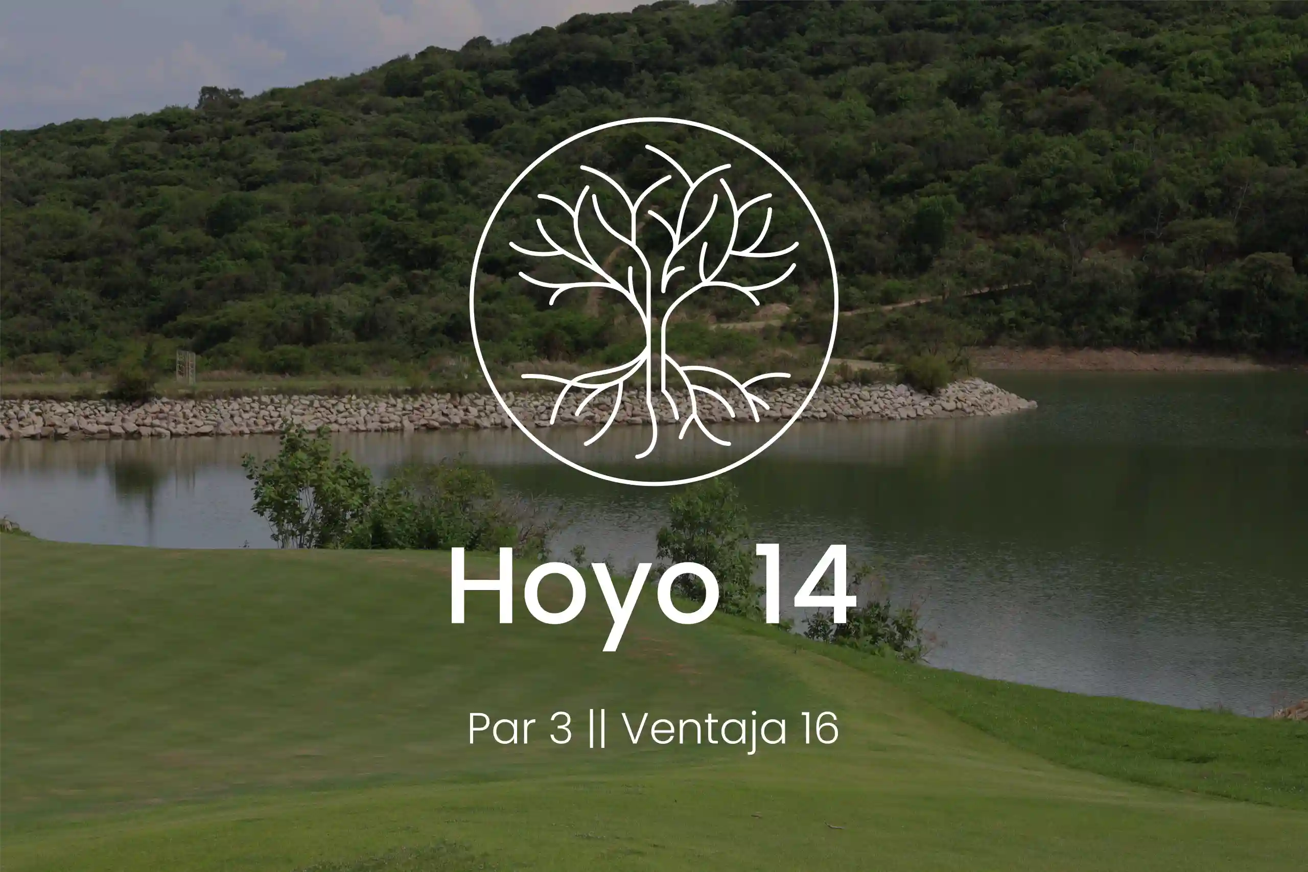 Hoyo 14