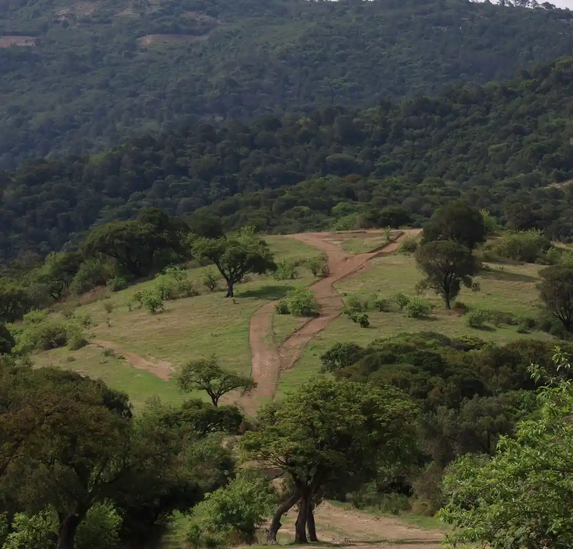 Gran Reserva parque